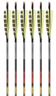 6-Pack of Gold Tip Hunter Arrows, 340 spine