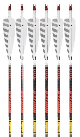 6-pk 400 spine Gold Tip Traditional Arrows