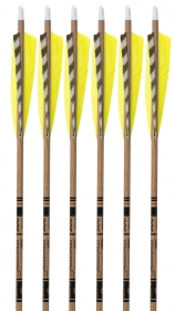 5-pk Arrow Dynamics Traditional Carbon Arrows