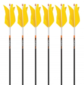 6-pk 350 spine Victory Carbon Trad Gamer Arrows