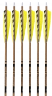 6-Pack of Gold Tip Traditional Arrows, 600 spine