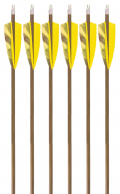 6-Pack of 3Rivers Hunters Arrows, 35-40 Spine