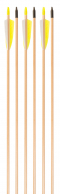 6-Pack of 3Rivers Archery® Sherwood Arrows, 35-40#