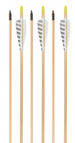 5-pk Arrow Dynamics Traditional Carbon Arrows