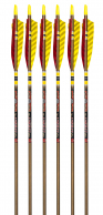 6-Pack of 2219 Easton Legacy XX75 Arrows