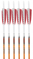 6-Pack of Easton Carbon Legacy Arrows, 600 Spine