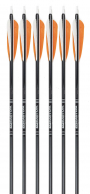 6-Pack of 2219 Easton Stalker Arrows