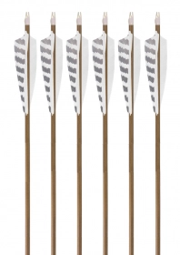 6-pk 350 spine Victory Carbon Trad Gamer Arrows