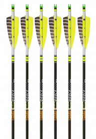 6-pk 340 Traditional Only Arrows