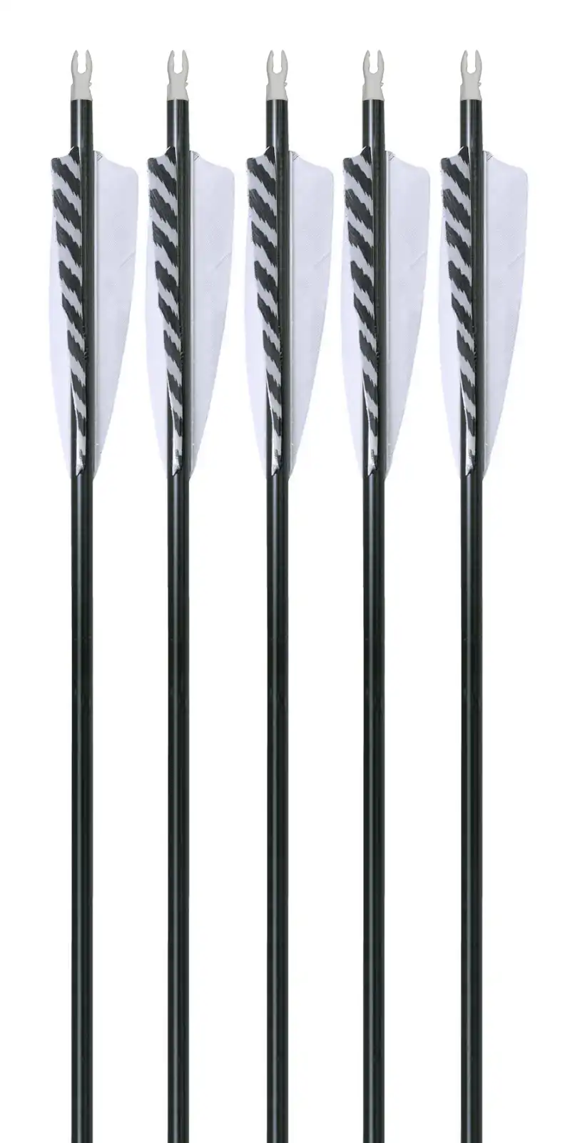 5-pk Arrow Dynamics Traditional Carbon Arrows