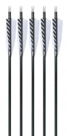 5-pk Arrow Dynamics Traditional Carbon Arrows