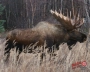DuraMesh Target Faces Thumbnail Image 7