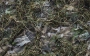 Ghillie Netting Blanket Thumbnail Image 5