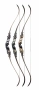 DAS™ Stelos ILF Recurve Bow Thumbnail Image 2
