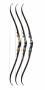 DAS™ Stelos ILF Recurve Bow Thumbnail Image 5
