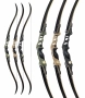 DAS™ Stelos Recurve Bow Thumbnail Image