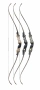 DAS™ Stelos Recurve Bow Thumbnail Image 4