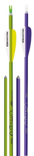 Easton Genesis V2 Purple 1820 Arrows w// 3/" Vanes w// Nock and Point 1//2 Dozen