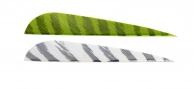 Gateway Parabolic Right Wing Barred Feathers