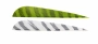 Gateway Parabolic Right Wing Barred Feathers Thumbnail Image