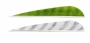 Gateway Parabolic Right Wing Barred Feathers Thumbnail Image 2
