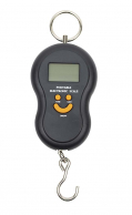 Digital Bow Scale