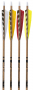 Gold Tip Traditional Carbon Arrows Thumbnail Image