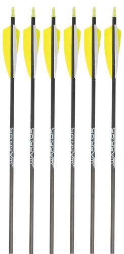 Gold Tip Warrior Arrows
