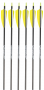 Gold Tip Warrior Arrows, 6-pack Thumbnail Image