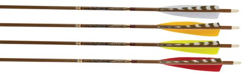 Easton Axis Traditional Carbon Arrows