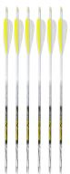 Traditional Only® 5MM Barebow Parabolic Carbon Arrows, 6-pack