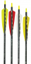 Easton Gamegetter® XX75 Aluminum Arrows, 12-pack Thumbnail Image