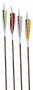 Traditional Only® Carbon Arrows Thumbnail Image