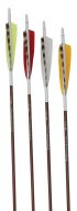Traditional Only® Carbon Arrows