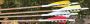 Traditional Only® Carbon Arrows Thumbnail Image 2