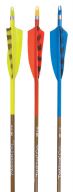 Traditional Only® Hyper Carbon  Arrows 6-pack