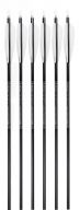Easton XX75 Jazz™ Aluminum Arrows 6-pack