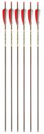 Victory Carbon Trad Fletched Carbon Arrows, 6-pack
