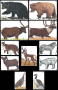 Big Game Paper Archery Targets Thumbnail Image