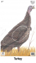 Big Game Paper Archery Targets Thumbnail Image 4