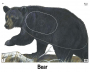 Big Game Paper Archery Targets Thumbnail Image 2