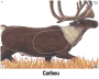 Big Game Paper Archery Targets Thumbnail Image 7