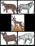 Big Game Paper Target - Group B (5-Pack) Thumbnail Image