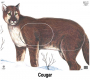 Big Game Paper Target - Group B (5-Pack) Thumbnail Image 2