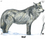 Big Game Paper Target - Group B (5-Pack) Thumbnail Image 3