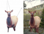 Montana Decoys Eichler Elk Thumbnail Image