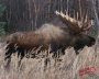 DuraMesh Target Faces Thumbnail Image 7
