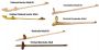 Atlatl Kit Thumbnail Image 3