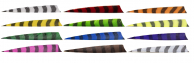 Traditional Only® Heavy Barred Shield Cut Arrow Feathers
