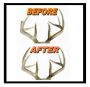 Antler Sculpt Repair Kit Thumbnail Image 2